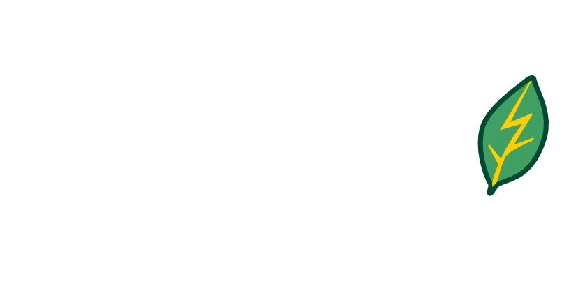 Zapseed Media
